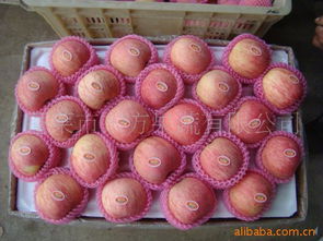 蓬莱市东方果蔬苹果产品系列 | 精选水果干制品一览
